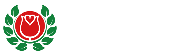 中超投注